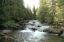 Prut near Hoverla.jpg