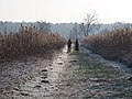 Rundweg um den Hüttensee