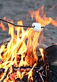 Roasting a marshmallow