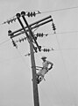 Image 39A Rural Electrification Administration lineman at work in Hayti, Missouri in 1942. (from History of Missouri)