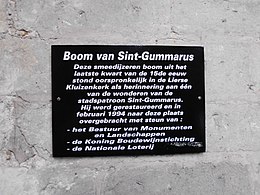 Bijschrift Sint-Gummarus boom