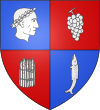 Brasão de armas de Soings-en-Sologne