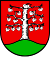 Oederquart