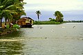 Backwater in Ashamudi Lake