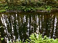 Reflexos no río Mandeo.