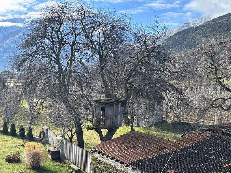 File:Tree house in Italy1.jpeg