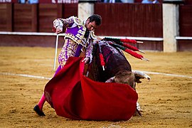 Trinchera (tauromaquia).jpg