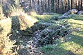 Dolmen de Mané-Ven-Guen.