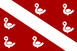 ? Vlag van Oostkamp