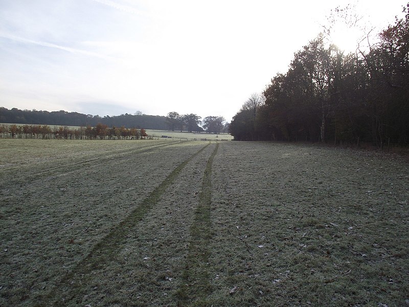 File:Frosty Ground - geograph.org.uk - 2178883.jpg