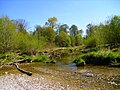 Isar-Altwasser mit Blick auf die Vogelinsel