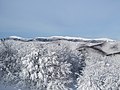 Pohľad na poľský vrch Smerek (1 222,5 m n. m.) a pohorie Połonina Wetlińska