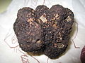 Трюфель чёрный (Tuber melanosporum)