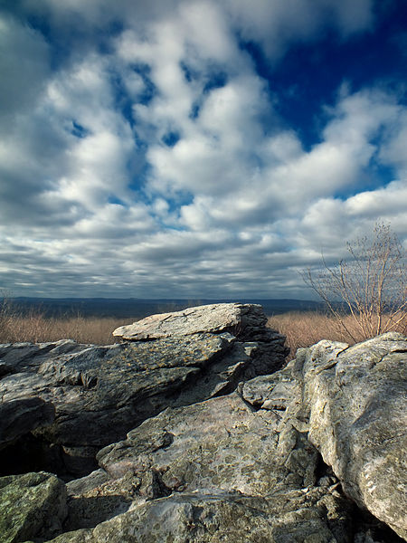 File:Flickr - Nicholas T - Wolf Rocks (Revisited) (1).jpg