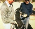 black Karakul lamb (Persian lamb, Swakara) from Namibia