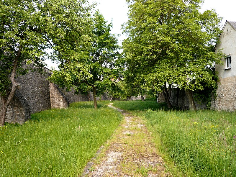 File:StadtmauerWemding.jpg