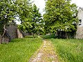 Stadtmauer