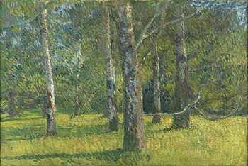 Matija Jama - Birches in Laxenburg