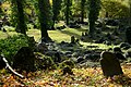 * Nomination: Old Jewish cemetery in Cieszyn (Teschen), Silesia --Pudelek 12:31, 15 October 2024 (UTC) * * Review needed