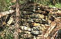 Remains of a bush hut, Berowra area