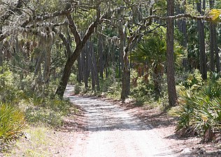 An interior road on the island