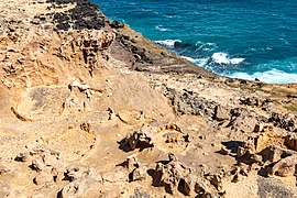 Cape Bridgewater (AU), Petrified Forest -- 2019 -- 0768.jpg