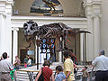 Tyrannosaurus (named "Sue"), FMNH.