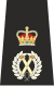 Isle of Man Police Chief Constable Epaulette