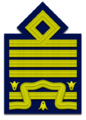 Distintivo per il grado di generale dell'Aeronautica Militare.