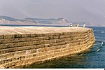 The Cobb piers and walls including north wall