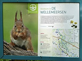 Wellemeersen