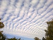 Altocumulus stratiformis perlucidus undulatus