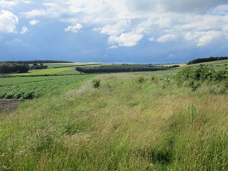 File:Course of the former Driffield to Malton railway (geograph 5017772).jpg