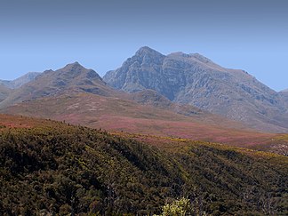 Langebergmassiv im Grootvadersbosch Nature Reserve