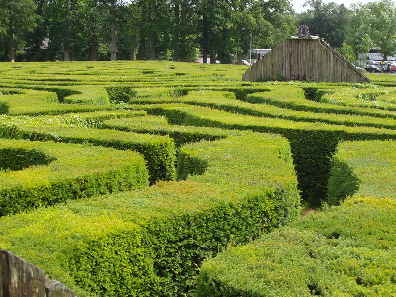 File:Longleat Hedge Maze (detail).JPG