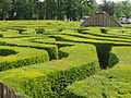 Longleat Hedge Maze