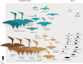 Dimensioni di A. archibaldi (in basso a destra) rispetto ad uccelli e pterosauri contemporanei