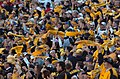 Image 3Pittsburgh Steelers' fans waving the Terrible Towel, a tradition that dates back to 1975 (from Pennsylvania)