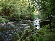 Le Scorff dans la forêt de Pontcallec (chaos rocheux).