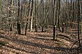 Limeswachturm Wp 4/103, Strecke 4, Taunus- und Wetteraulinie, Hessen.