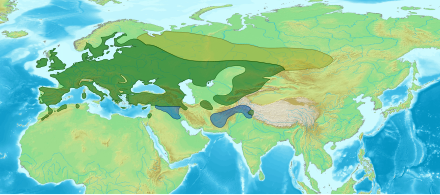 Reliefkarte Eurasiens mit eingezeichneter Verbreitung