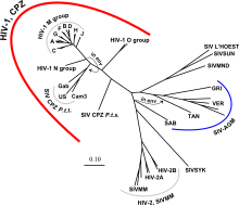 HIV-SIV-phylogenetic-tree.svg