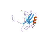 2h2b: Crystal Structure of ZO-1 PDZ1 Bound to a Phage-Derived Ligand (WRRTTYL)