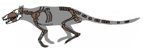 Pakicetus