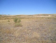 Paisaje - panoramio - Allpe (7).jpg