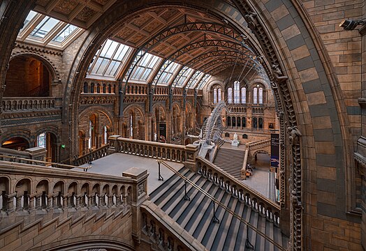 Central hall of the Natural History Museum London in the evening, with light through the windows balancing interior lighting.