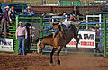 * Nomination: Bronc riding at Thermopolis Rodeo, Wyoming. --Clément Bardot 14:19, 11 August 2013 (UTC) * * Review needed