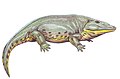 Reconstitution d'Eryops megacephalus par le paléoartiste Dimitri Bogdanov.