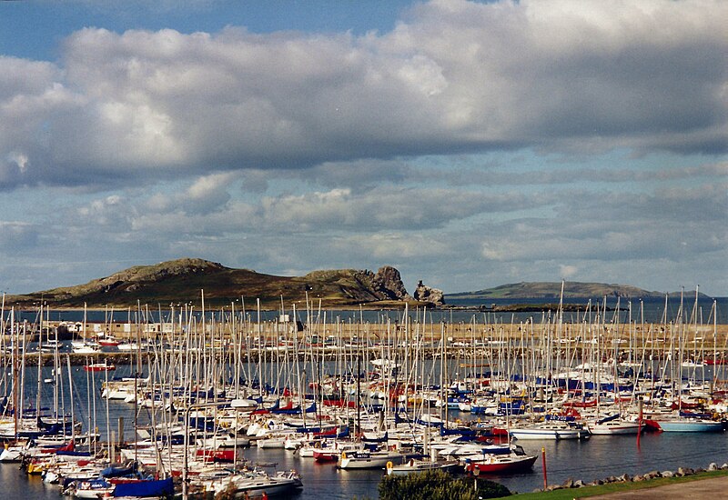 Elvido sur insulo (Ireland's Eye) ekde la haveno Howth