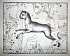 Earliest depiction of Lynx, in 1690